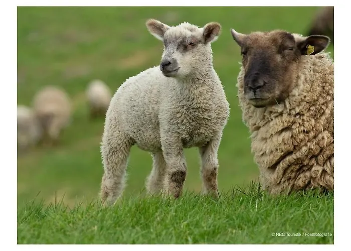 With 0 Bedrooms グレートジール